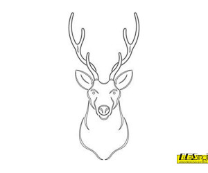 CMT3D RCS-901 - vzorec 23 šablone za rezbarjenje