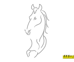 Šablona CMT3D RCS-902 - uzorak 24