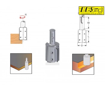 Brazdna glava MW D50x50x2+2