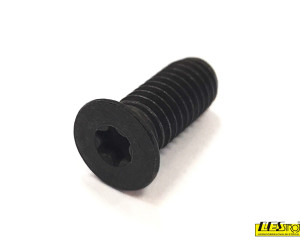 Xylent screw M6x15 T20