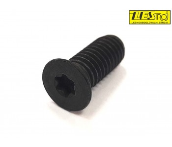 Xylent screw M6x15 T20