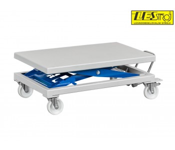 Lifting table REHNEN Pegasus - 300 kg