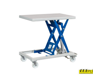 Lifting table REHNEN Pegasus - 300 kg