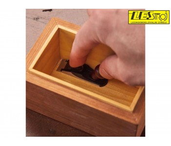 VERITAS Miniature plane