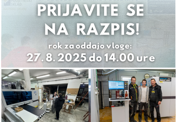 SPODBUDE ZA MIKROPODJETJA V LESARSTVU